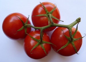 The calyx still remains on each tomato fruit and the fruits are joined together.